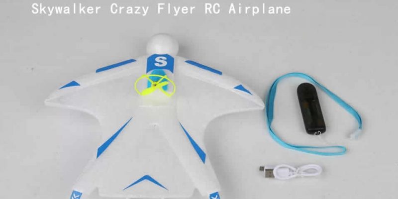 Skywalker Crazy Flyer RC Airplane